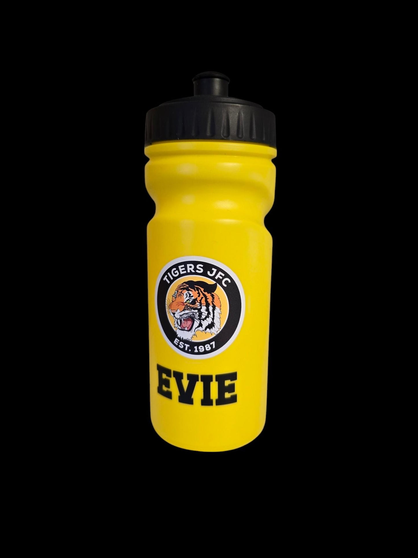 Vinyl Sports Bottle